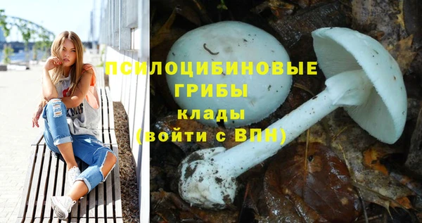 дурь Михайловка