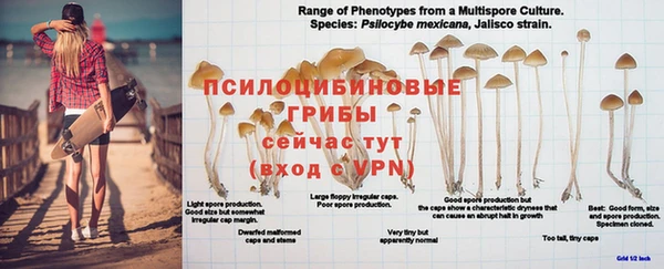 бошки Зерноград