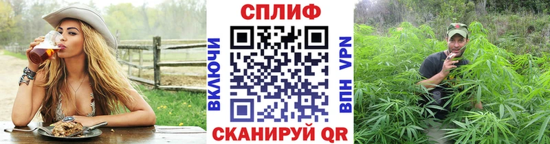 купить наркоту  Ковдор  Бошки Шишки SATIVA & INDICA 